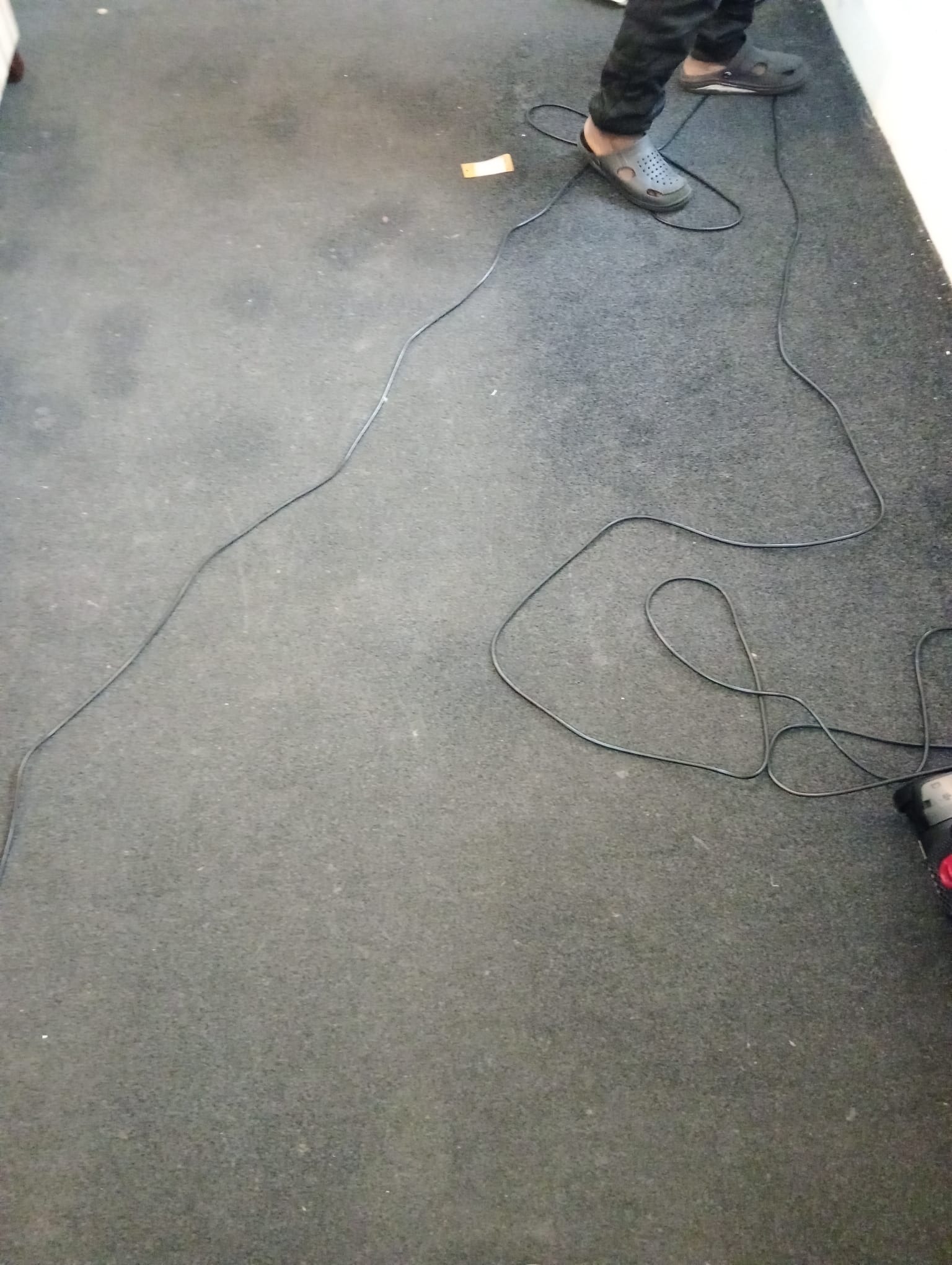 carpet